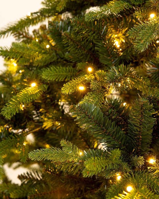 Pinus Zweigspitzen mit LEDs, Detail