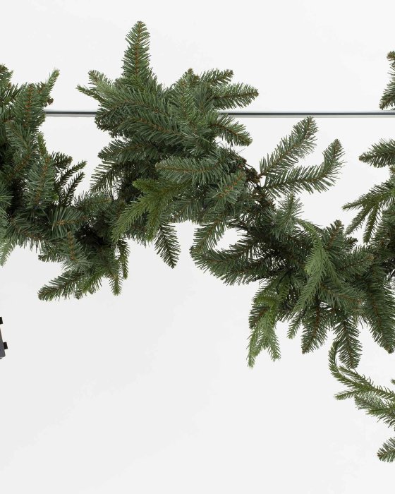 Pinus Girlande hängend