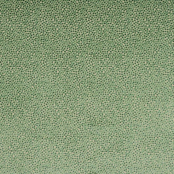 Darwin Green – Stoff von Jane Churchill