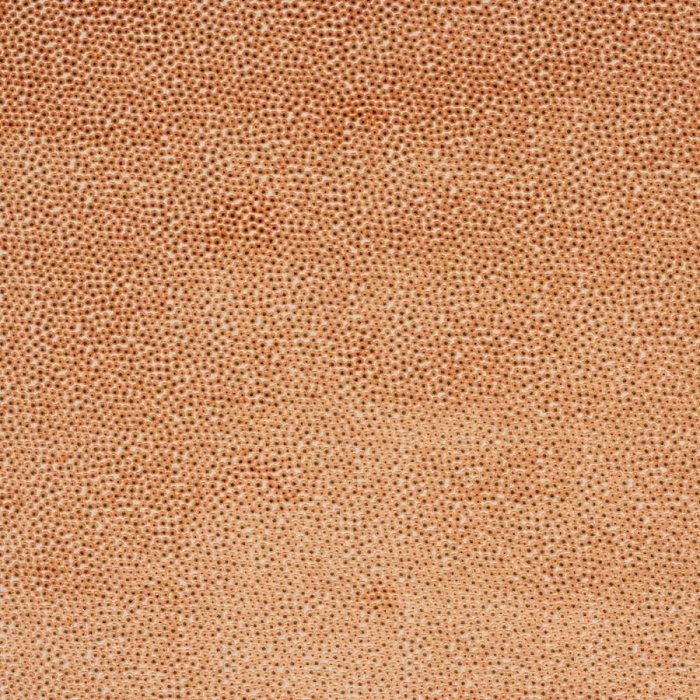 Darwin Orange – Stoff von Jane Churchill