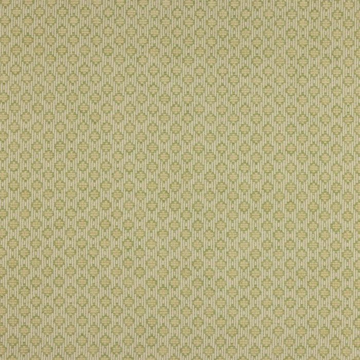 Jane Churchill Delaney Chenillestoff in Green