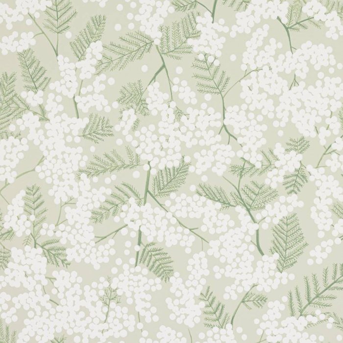 Mimosa Tapete von Jane Churchill in Green