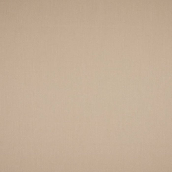 Harvard von Larsen in Beige