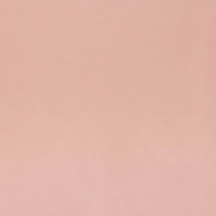 Senso von Larsen in Orchid