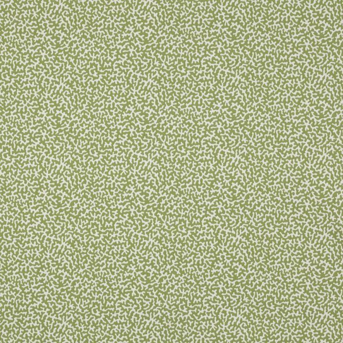 Manuel Canovas Apolline Stoff in Kiwi