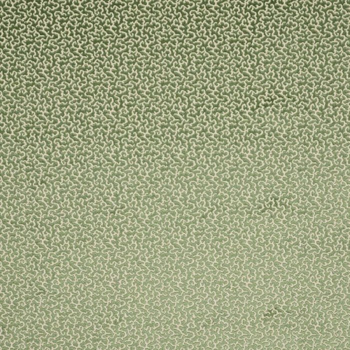Drago Menthe – Stoff von Manuel Canovas
