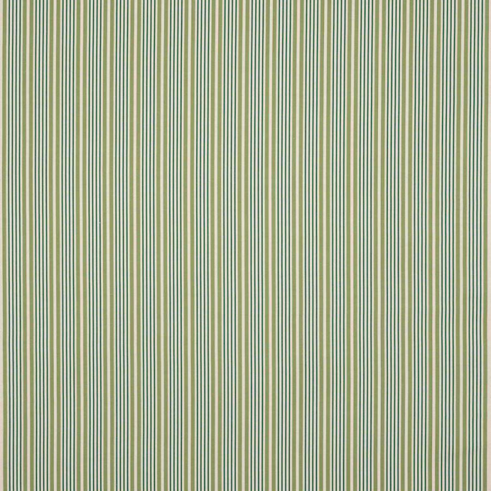 Manuel Canovas Jodhpur Streifenstoff in Emeraude
