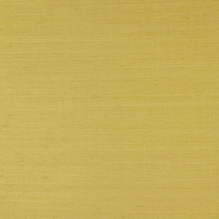 Lazare Anis – Stoff von Manuel Canovas