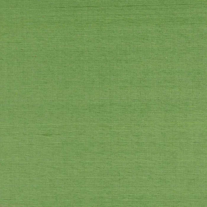 Lazare Kiwi – Stoff von Manuel Canovas