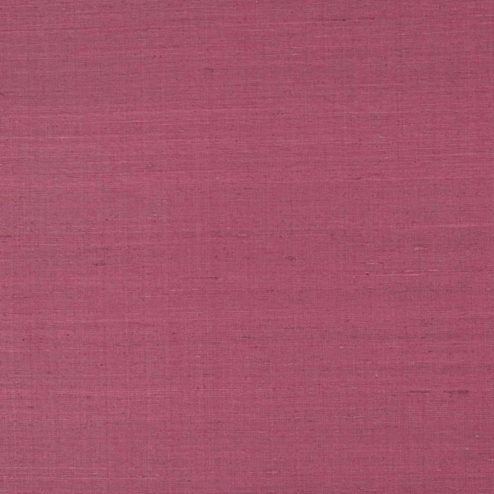 Lazare Violine – Stoff von Manuel Canovas