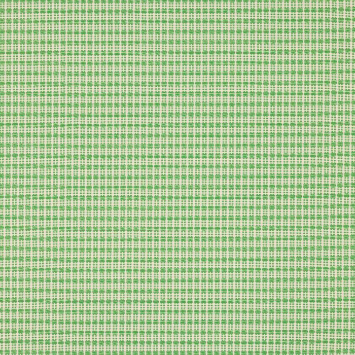Manuel Canovas Sanary Stoff in Pomme