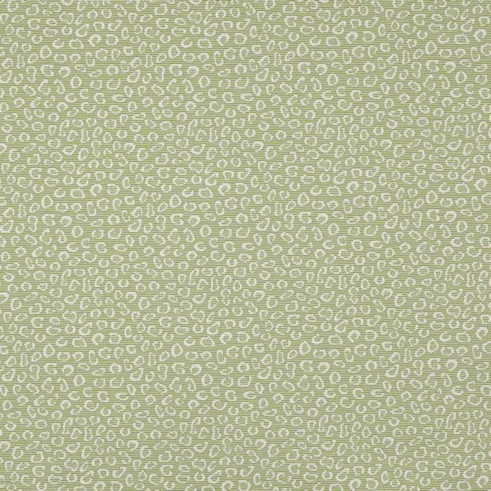 Manuel Canovas Suzanne Stoff in Prairie