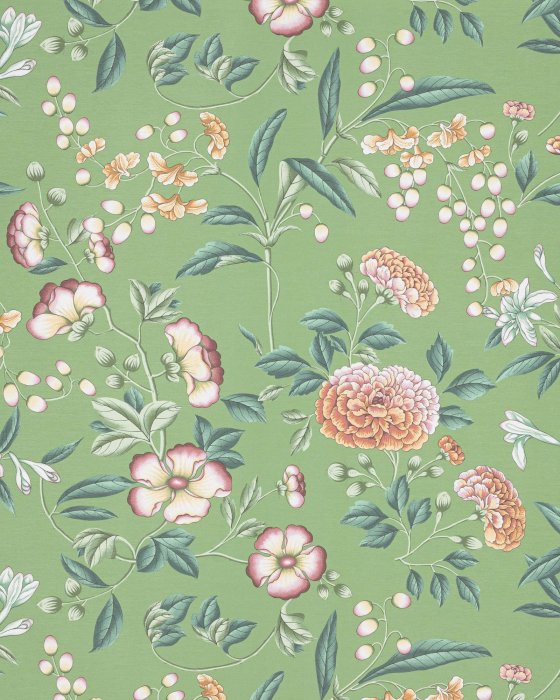 Coromandel Prairie – Tapete von Manuel Canovas