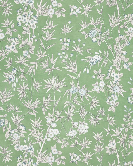 Haru Matcha – Tapete von Manuel Canovas
