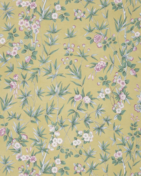 Haru Or – Tapete von Manuel Canovas