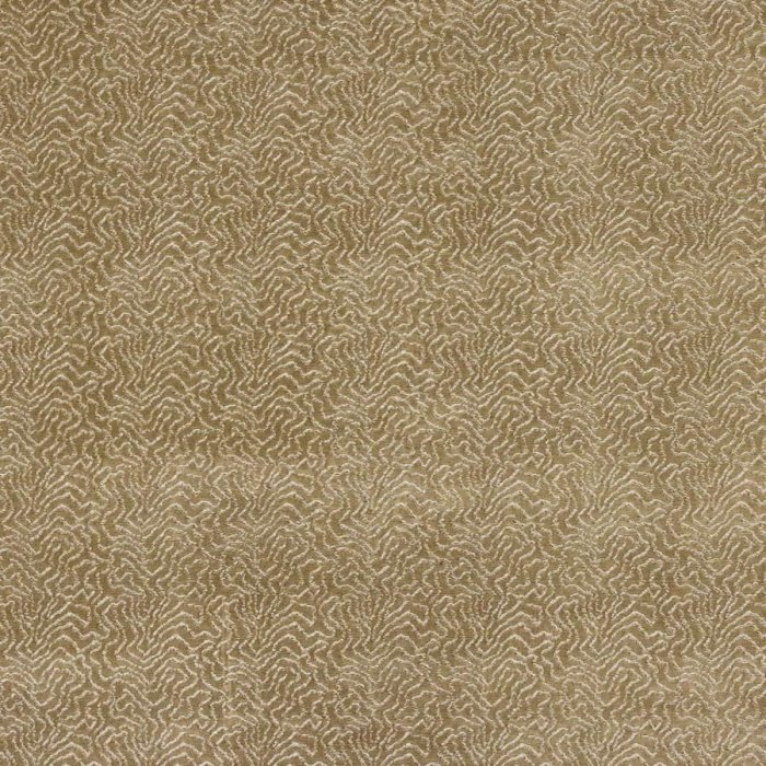 Titus Champagne – Stoff von Manuel Canovas