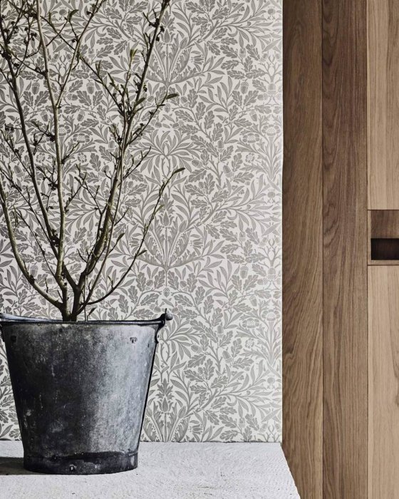 Pure Acorn Tapete von Morris & Co. – Ambiente